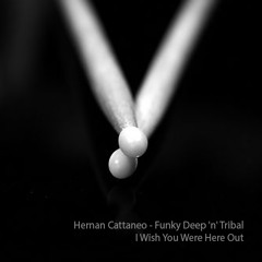 Hernan Cattaneo - Funky Deep 'n' Tribal - I Wish You Were Here Out
