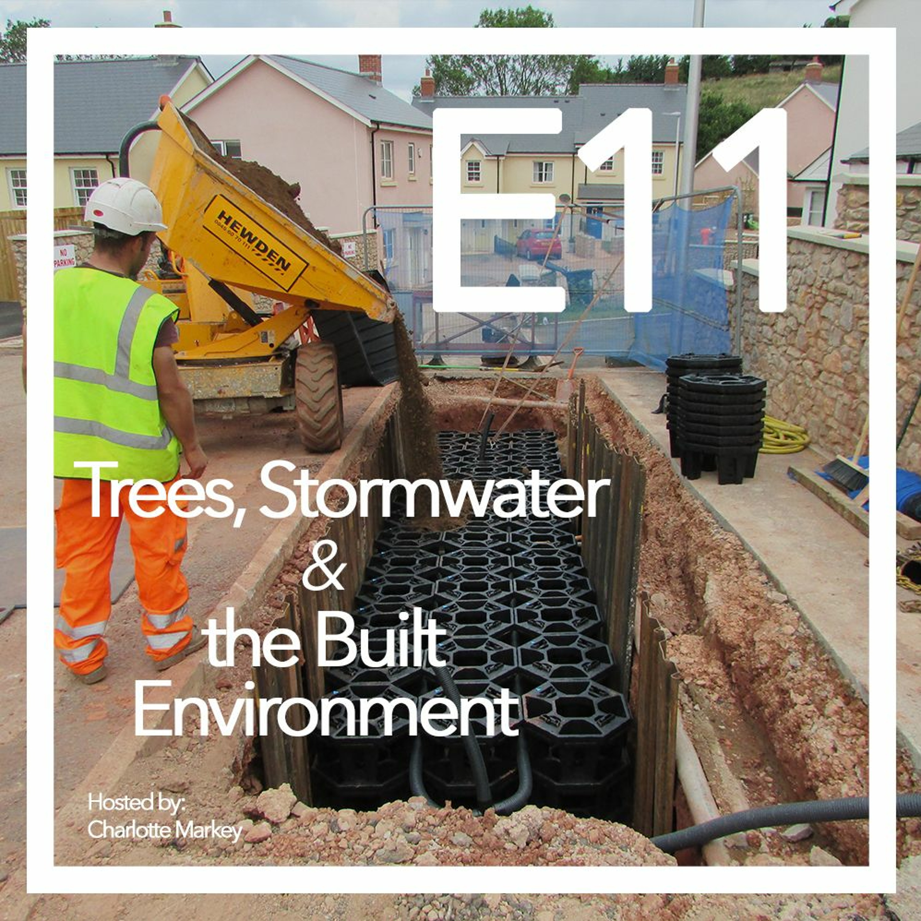 Trees-Stormwater