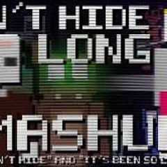 Can't Hide For Long (Can't Hide and It's Been So Long) MASHUP - gomotion