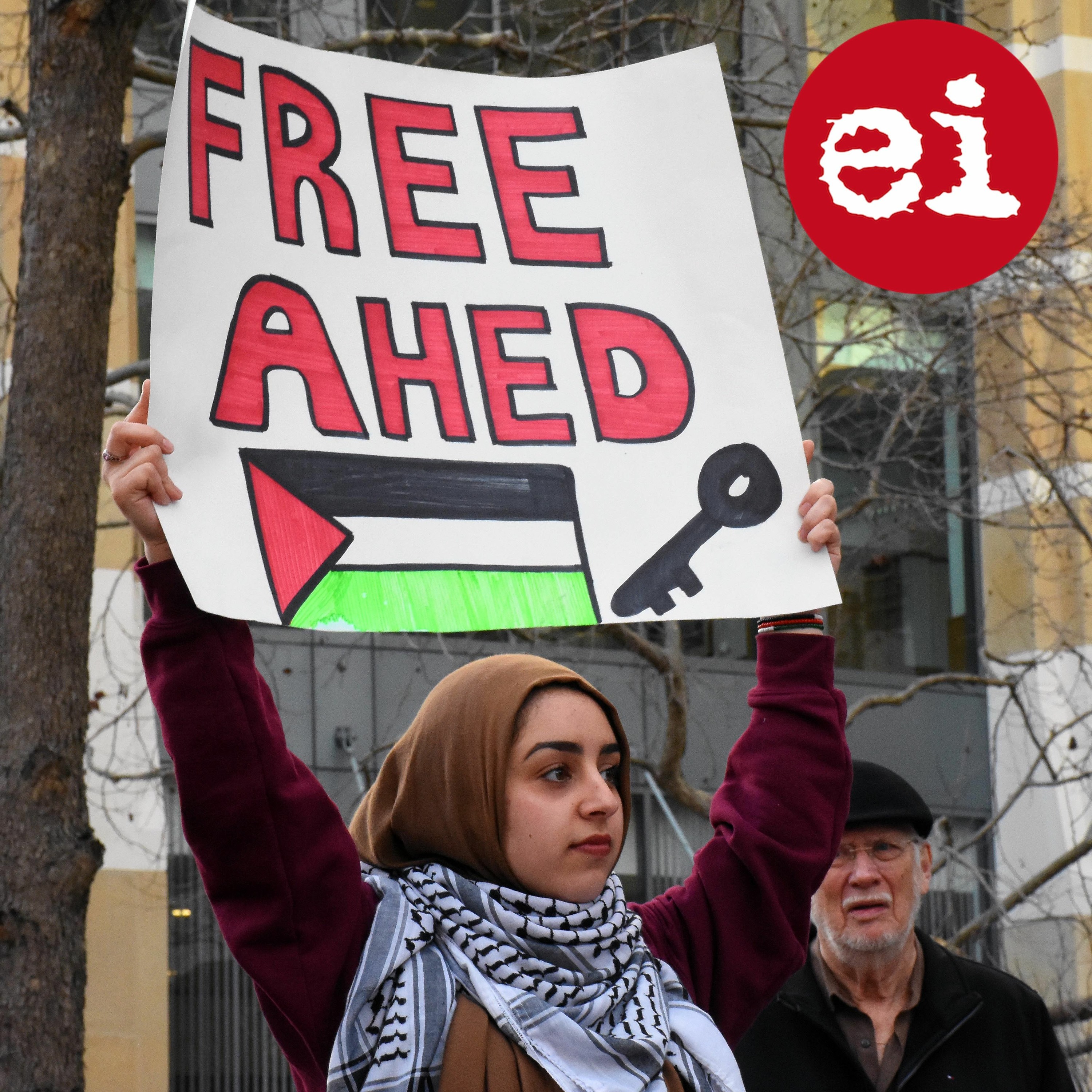 The Electronic Intifada