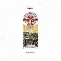 The Micronaut - Luminance (Corei Bootleg)// FREE DOWNLOAD