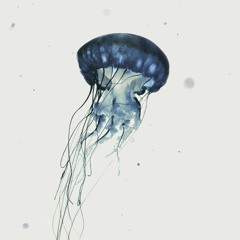 Naufragio