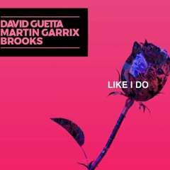 David Guetta x Martin Garrix x Brooks - Like I Do (Blk Rze Remix)