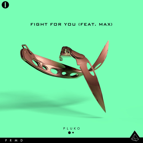 Fight For You (Feat. MAX)