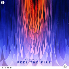 pluko x ye. - Feel The Fire