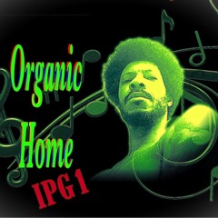 Organic Home at Level One Up