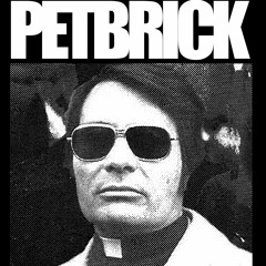 PETBRICK - Bog Egg