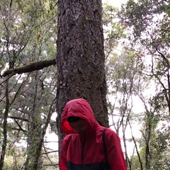 STUCK IN MY WAYS (2Face)