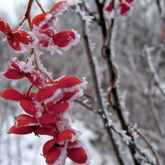 Bittersweet (Prod. by Phil.ie)