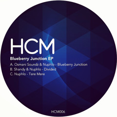 Blueberry Junction [CLIP]✨  - Osmani Soundz & Nuphlo [OUT NOW!]