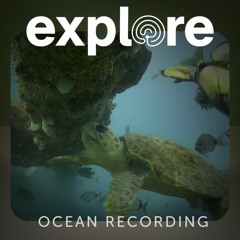 Frying Pan Ocean Tower - Underwater Ambience - North Carolina