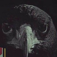 Firebeatz _ KSHMR ft. Luciana - No Heroes (Instant.mp3