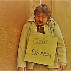 Özür Dilerim. Size Bir Şey Sorabilir Miyim?