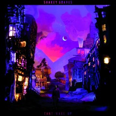 Shakey Graves - Mansion Door