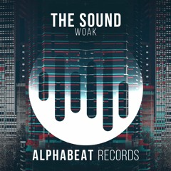 WOAK - The Sound (Extended Mix)