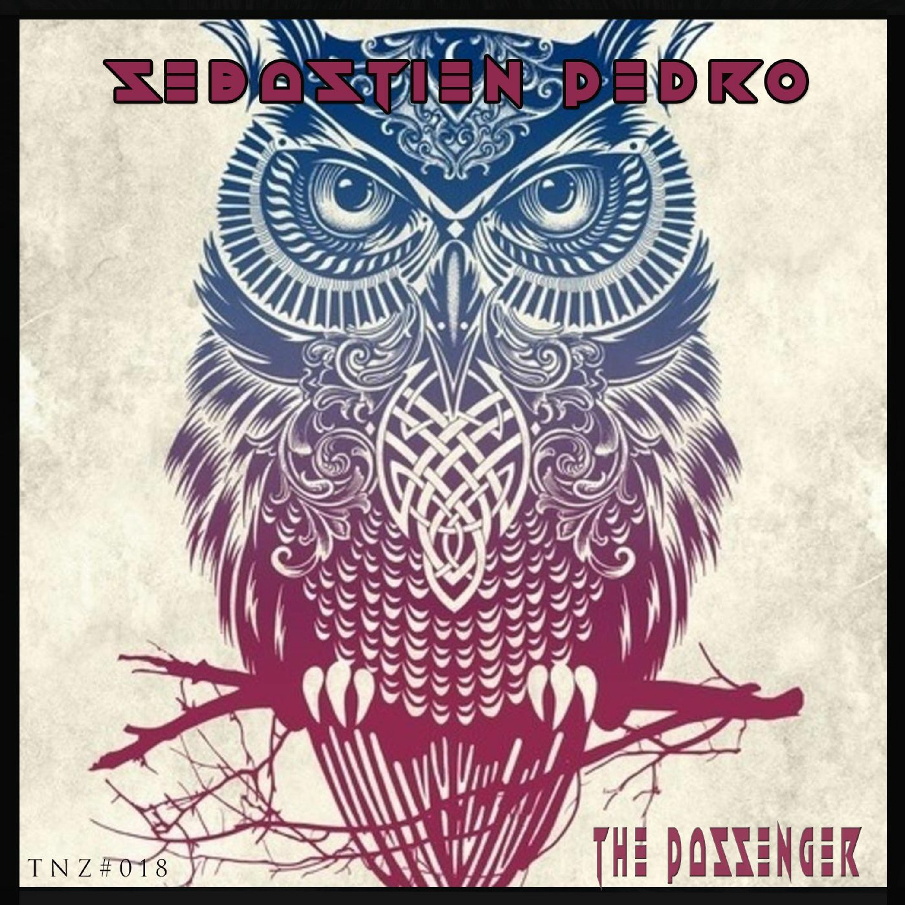 THE PASSENGER (Original Mix) Sebastien Pedro episode artwork