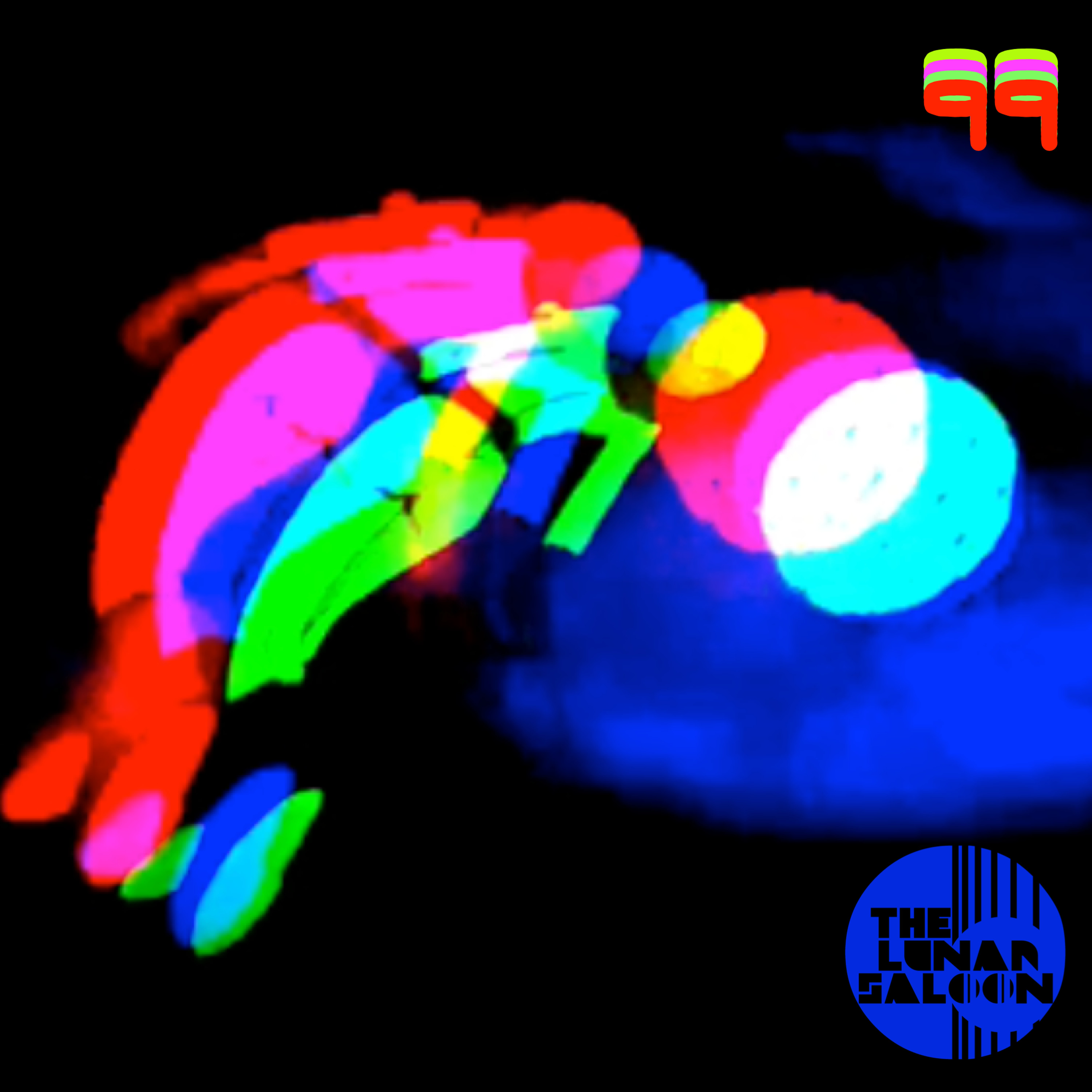 The Lunar Saloon