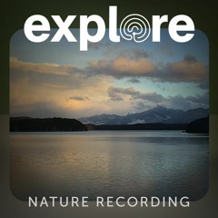 Orca Lab - Hansen Island, British Columbia