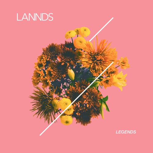 LANNDS artwork