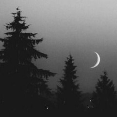 INSOMNIA (PROD. YVNGROSE)