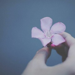soft