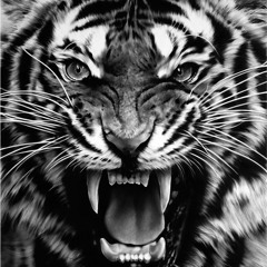 Beast Mode