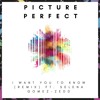 I Want You To Know - Picture Perfect Ft. Zedd & Selena Gomez