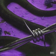 Post Malone - What's Up Beerbongs & Bently's(Chopped & screwed)