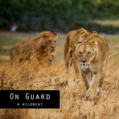 Chill Old School Hip Hop Beat "On Guard"