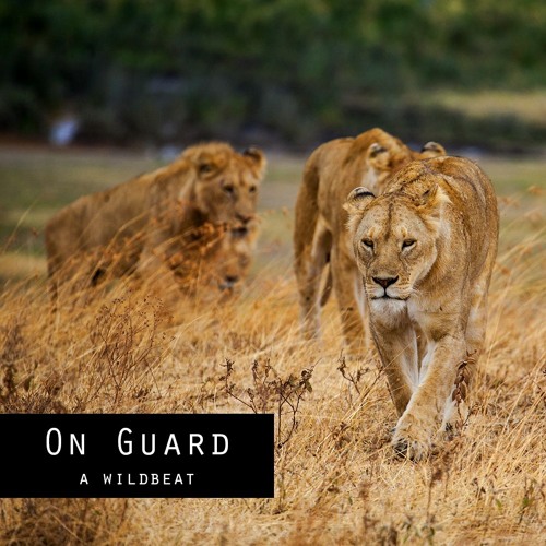Chill Old School Hip Hop Beat "On Guard"