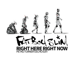 Right Here Right Now (Petko Turner's Echo Edit) The Revenge
