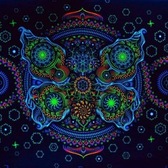 Psy Trance . Hi-Tech . Dark Psy