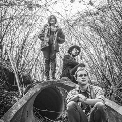 NuVu Live at Ginger Bird Studios