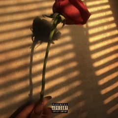 Sometimes ft. Leek [prod. Jurrivh]