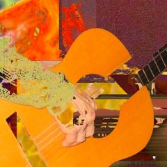 Seid bedankt der schönen Worte_WOLFGANG RIEDMANN/guitar & Augenmerk