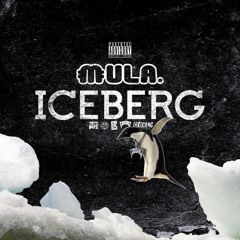 Colourful Mula - Iceberg