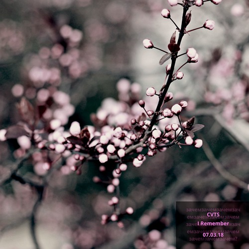 I Remember (Emptiness Version)