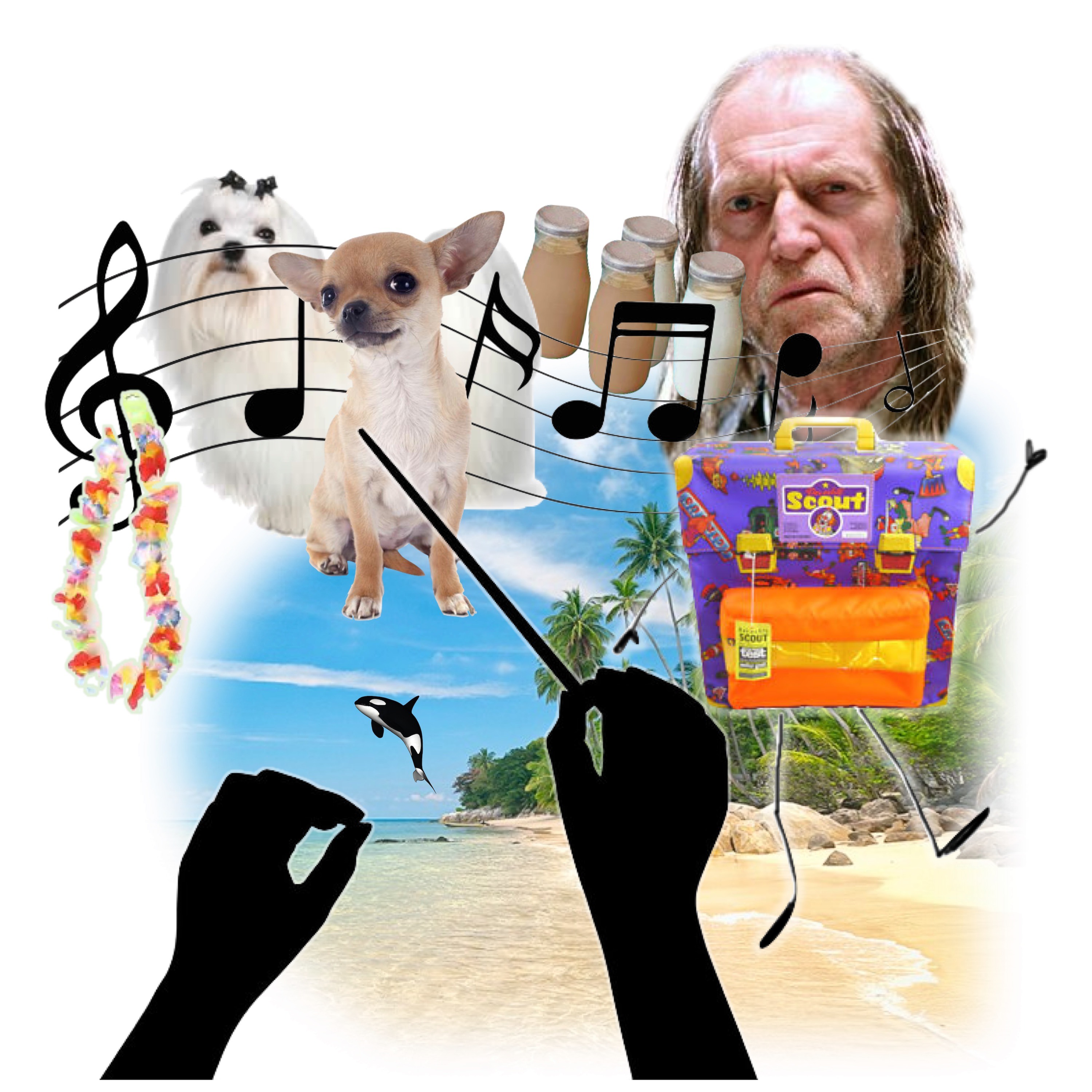 Faselwesen Podcasts