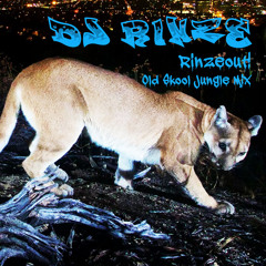 Rinseout! Mix