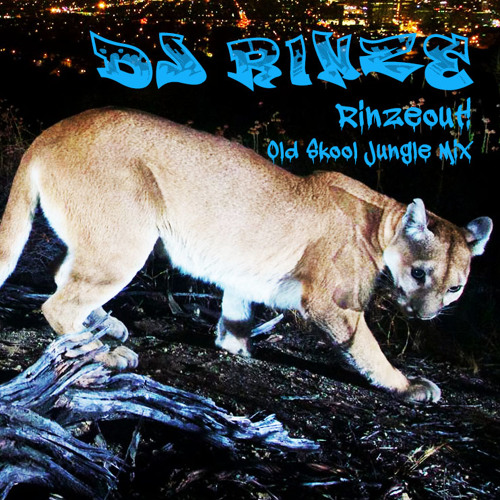 Rinseout! Mix