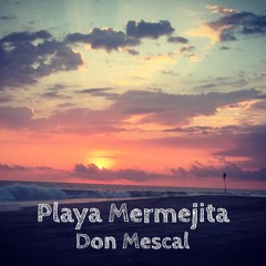 Playa Mermejita