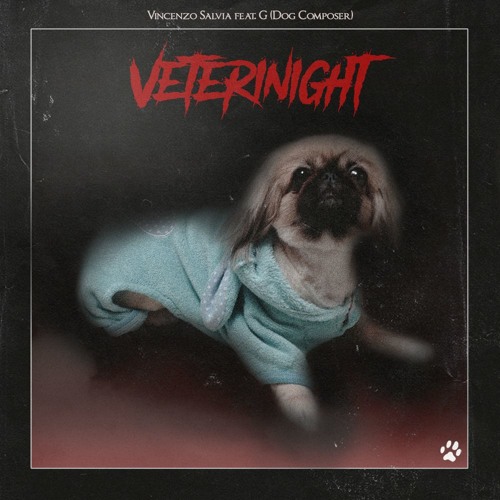 Veterinight (feat. Vincenzo Salvia)
