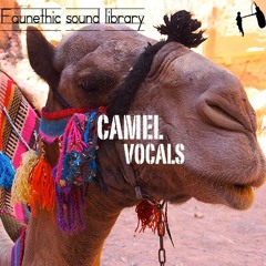 Camel Faunethic sound library update