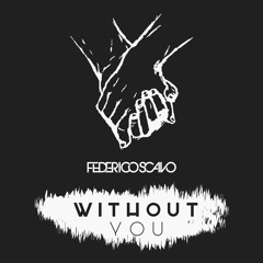 Federico Scavo - Without You (Video Edit)