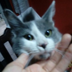 Ep1- Tengo El Keygen De Tu Corazón -2018