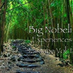 Rubbin Off The Paint Ft. Mell Boxx