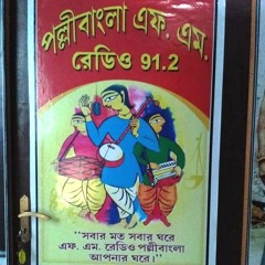 Palli Bangla 91.2 FM