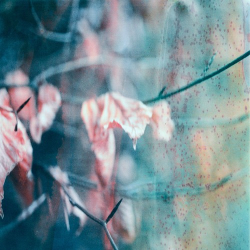 Enzalla & Aerith - Glasshearted