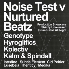 Noise Test: Nurtured Beatz Recordings label mix
