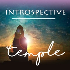 Introspective (Prod. by Temple)